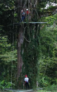 BZE1485